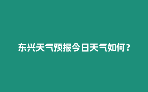 東興天氣預報今日天氣如何？