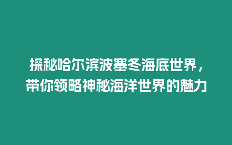 探秘哈爾濱波塞冬海底世界，帶你領(lǐng)略神秘海洋世界的魅力