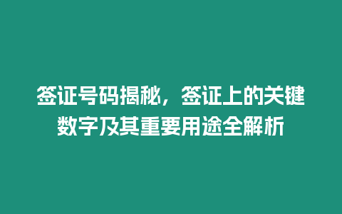 簽證號碼揭秘，簽證上的關(guān)鍵數(shù)字及其重要用途全解析