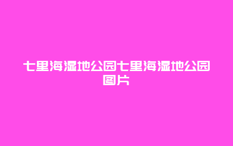 七里海濕地公園七里海濕地公園圖片