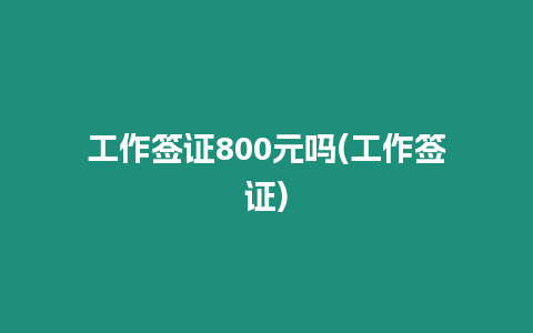 工作簽證800元嗎(工作簽證)