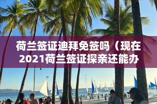 荷蘭簽證迪拜免簽嗎（現在2024荷蘭簽證探親還能辦嗎）