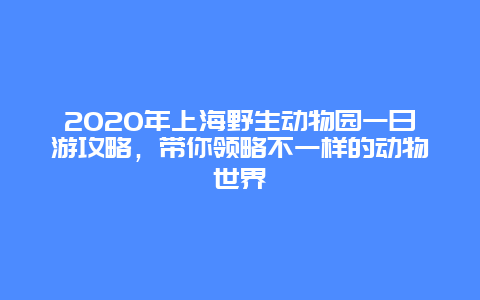 2020年上海野生動物園一日游攻略，帶你領(lǐng)略不一樣的動物世界