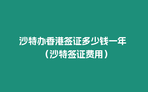 沙特辦香港簽證多少錢一年 （沙特簽證費用）