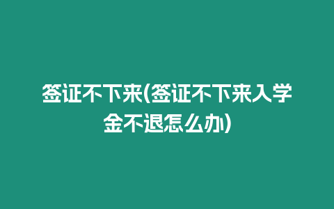 簽證不下來(簽證不下來入學金不退怎么辦)