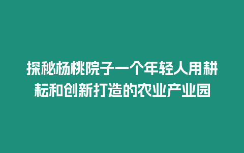 探秘楊桃院子一個年輕人用耕耘和創新打造的農業產業園