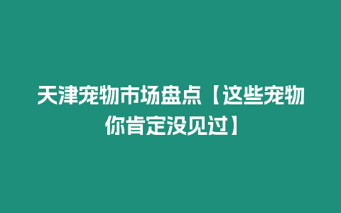 天津?qū)櫸锸袌霰P點(diǎn)【這些寵物你肯定沒見過】