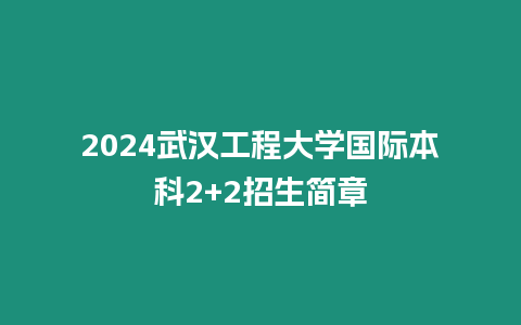 2024武漢工程大學國際本科2+2招生簡章