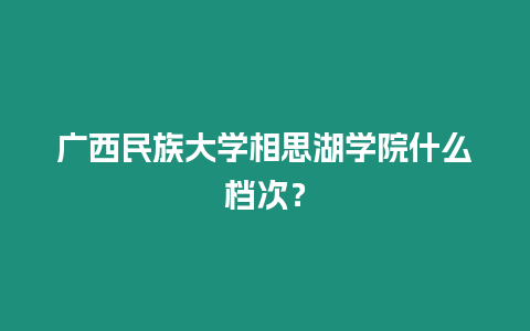 廣西民族大學相思湖學院什么檔次？