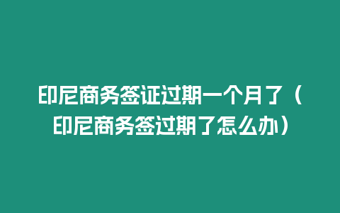 印尼商務(wù)簽證過期一個月了（印尼商務(wù)簽過期了怎么辦）