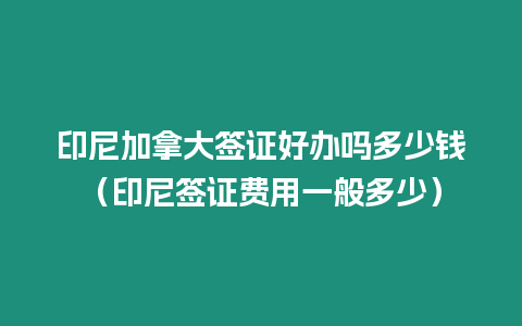 印尼加拿大簽證好辦嗎多少錢（印尼簽證費用一般多少）