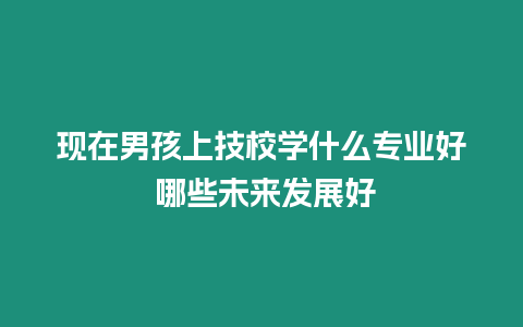 現在男孩上技校學什么專業好 哪些未來發展好