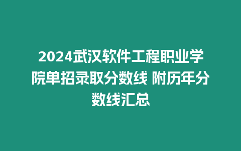 2024武漢軟件工程職業學院單招錄取分數線 附歷年分數線匯總