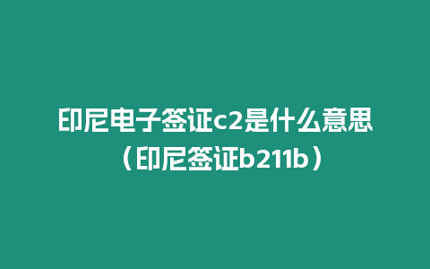 印尼電子簽證c2是什么意思（印尼簽證b211b）