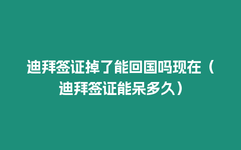 迪拜簽證掉了能回國嗎現在（迪拜簽證能呆多久）