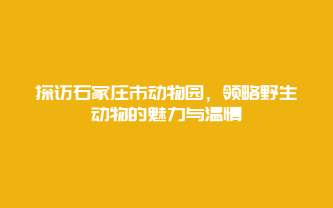 探訪石家莊市動物園，領略野生動物的魅力與溫情