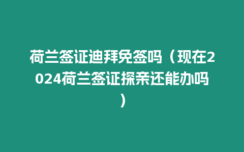 荷蘭簽證迪拜免簽嗎（現在2024荷蘭簽證探親還能辦嗎）