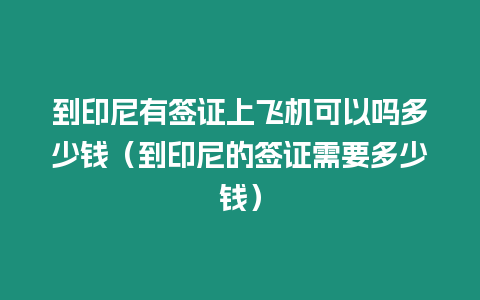 到印尼有簽證上飛機可以嗎多少錢（到印尼的簽證需要多少錢）