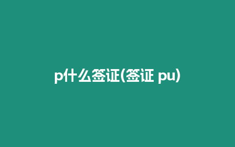 p什么簽證(簽證 pu)