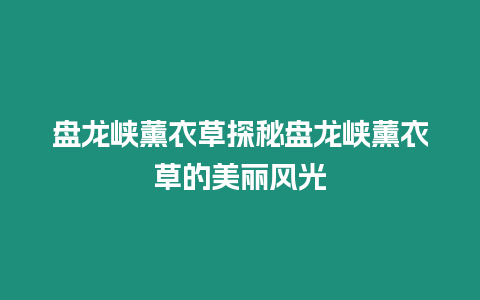 盤龍峽薰衣草探秘盤龍峽薰衣草的美麗風光