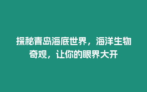 探秘青島海底世界，海洋生物奇觀，讓你的眼界大開