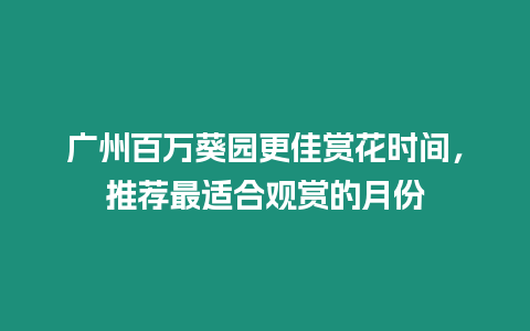 廣州百萬(wàn)葵園更佳賞花時(shí)間，推薦最適合觀賞的月份