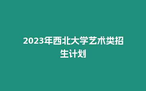 2023年西北大學藝術類招生計劃