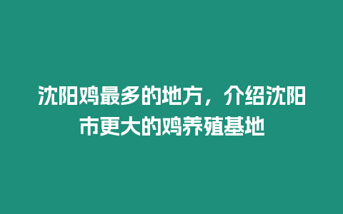 沈陽雞最多的地方，介紹沈陽市更大的雞養殖基地