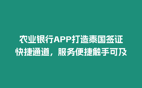 農業銀行APP打造泰國簽證快捷通道，服務便捷觸手可及