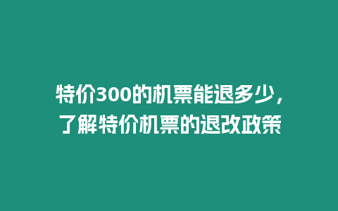 特價300的機票能退多少，了解特價機票的退改政策