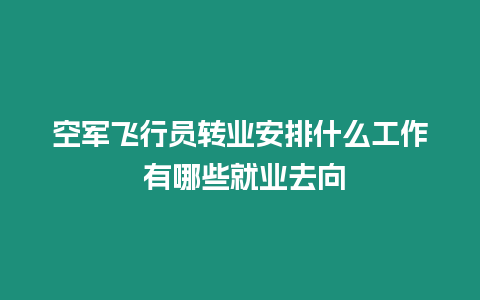 空軍飛行員轉(zhuǎn)業(yè)安排什么工作 有哪些就業(yè)去向