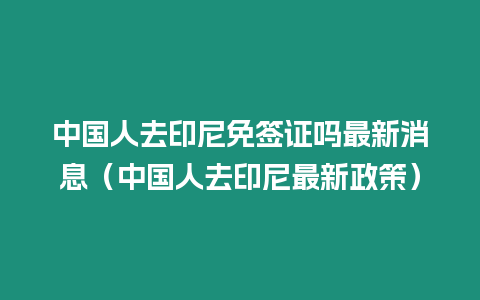 中國(guó)人去印尼免簽證嗎最新消息（中國(guó)人去印尼最新政策）