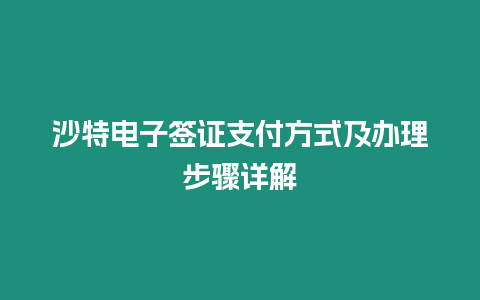 沙特電子簽證支付方式及辦理步驟詳解