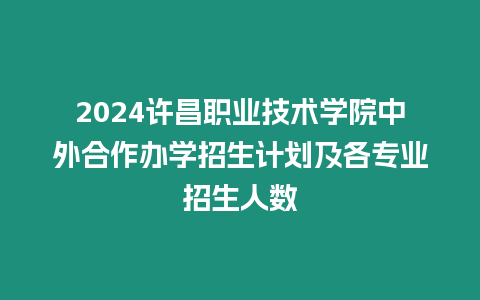 2024許昌職業技術學院中外合作辦學招生計劃及各專業招生人數