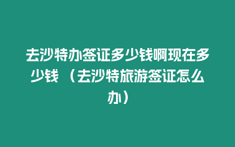 去沙特辦簽證多少錢啊現在多少錢 （去沙特旅游簽證怎么辦）