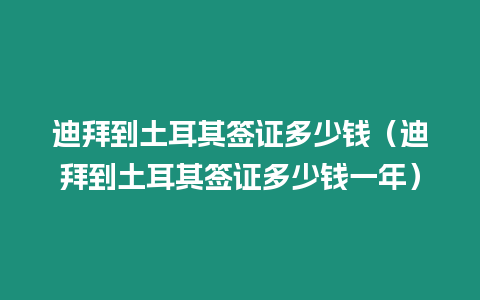 迪拜到土耳其簽證多少錢（迪拜到土耳其簽證多少錢一年）