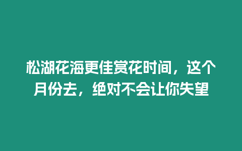 松湖花海更佳賞花時間，這個月份去，絕對不會讓你失望