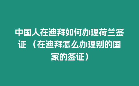 中國人在迪拜如何辦理荷蘭簽證 （在迪拜怎么辦理別的國家的簽證）