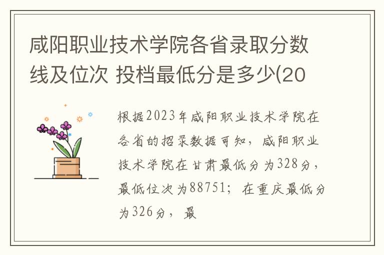 咸陽職業技術學院各省錄取分數線及位次 投檔最低分是多少(2024年高考參考)