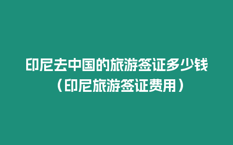 印尼去中國的旅游簽證多少錢（印尼旅游簽證費用）