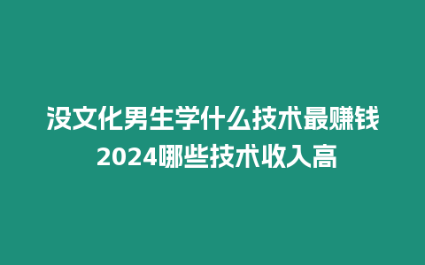 沒(méi)文化男生學(xué)什么技術(shù)最賺錢(qián) 2024哪些技術(shù)收入高