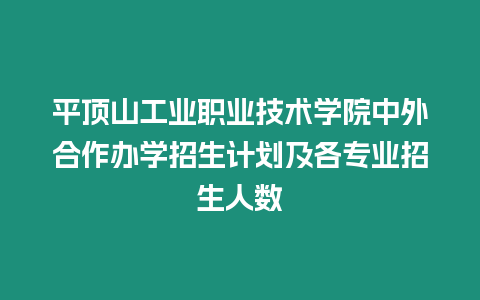 平頂山工業(yè)職業(yè)技術(shù)學(xué)院中外合作辦學(xué)招生計劃及各專業(yè)招生人數(shù)