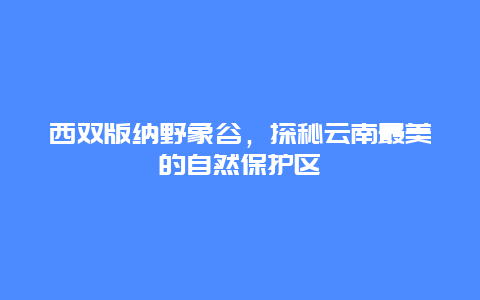 西雙版納野象谷，探秘云南最美的自然保護區