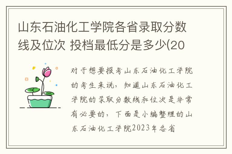 山東石油化工學院各省錄取分數(shù)線及位次 投檔最低分是多少(2024年高考參考)