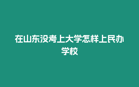 在山東沒(méi)考上大學(xué)怎樣上民辦學(xué)校