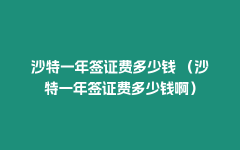 沙特一年簽證費多少錢 （沙特一年簽證費多少錢啊）