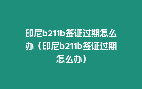 印尼b211b簽證過(guò)期怎么辦（印尼b211b簽證過(guò)期怎么辦）