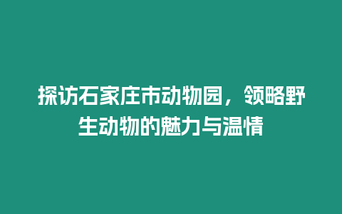 探訪石家莊市動物園，領略野生動物的魅力與溫情