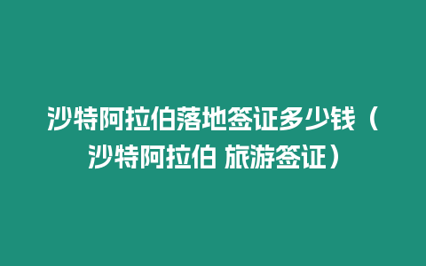 沙特阿拉伯落地簽證多少錢（沙特阿拉伯 旅游簽證）