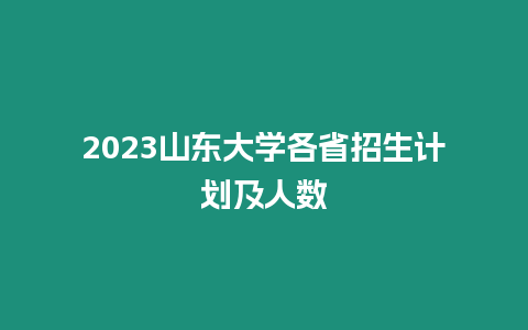 2023山東大學各省招生計劃及人數